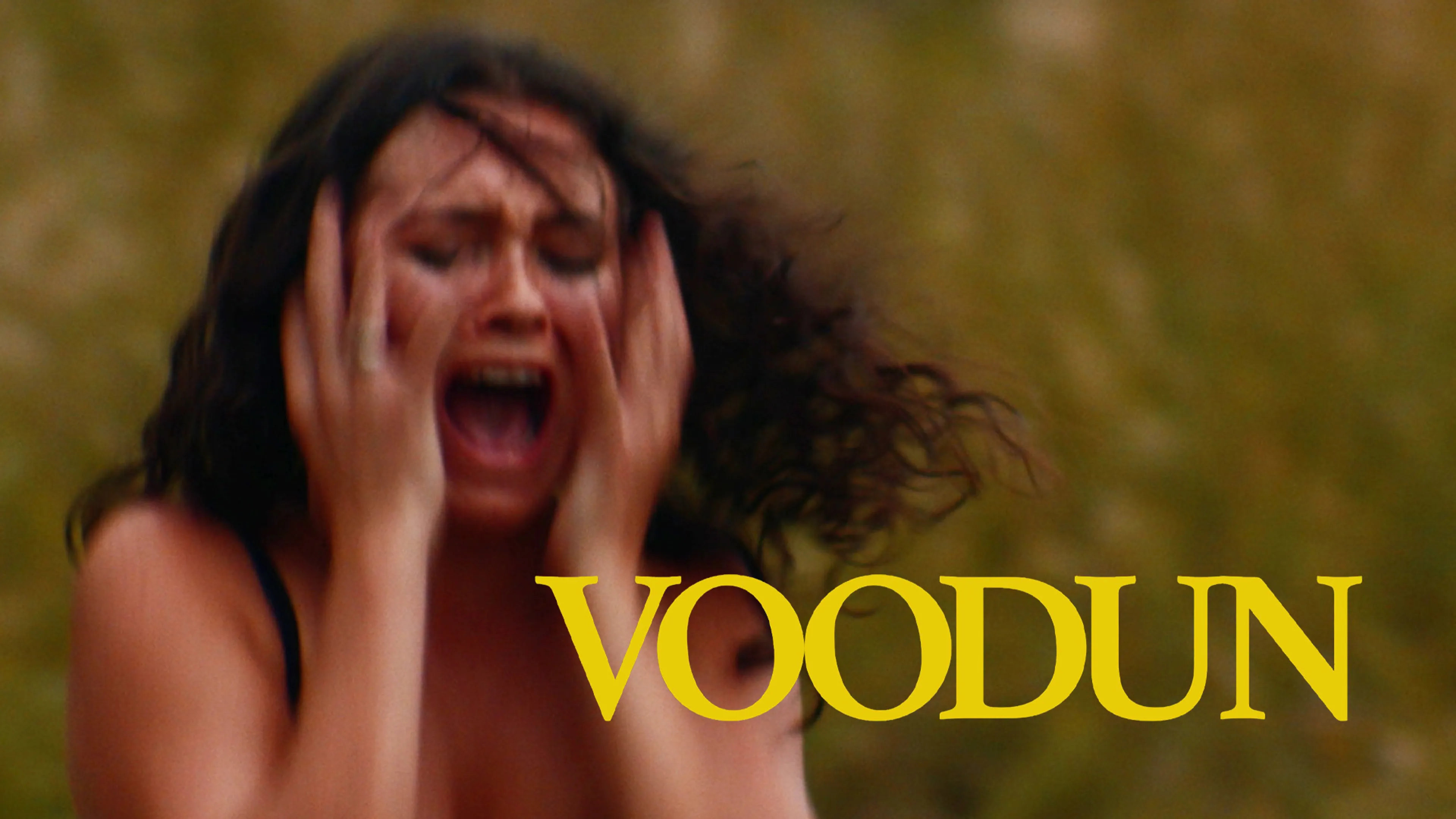 Voodun poster